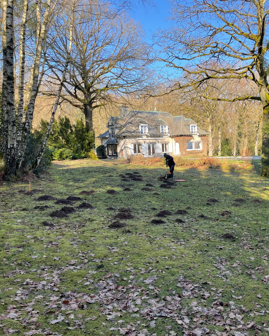 Bio Taupe à Verviers | Boncado - photo 8